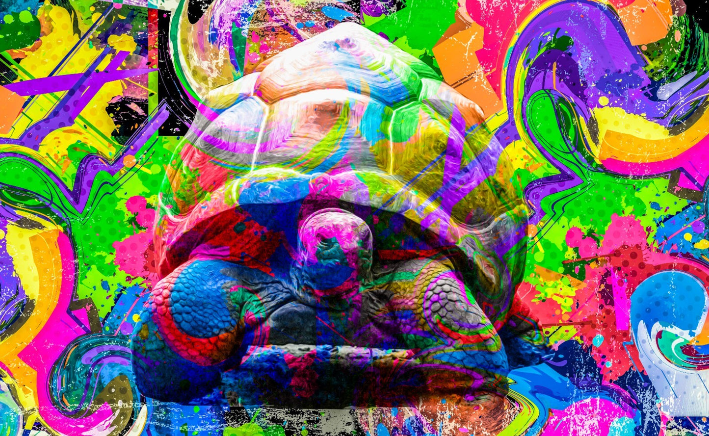 Street Art Canvas Framed Poster | Wall Art - Home Decor