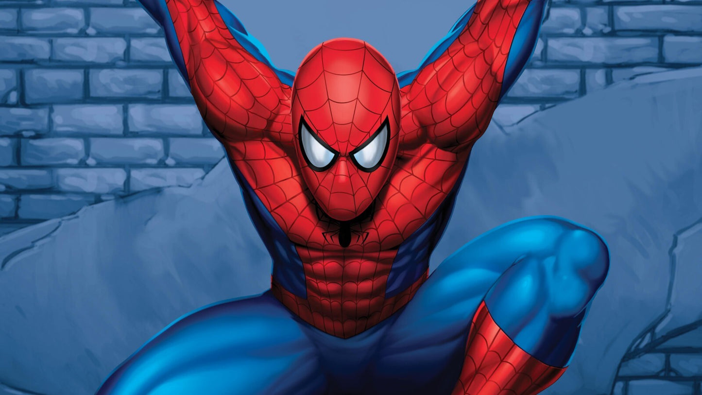 Spider Man Canvas Framed Poster | Wall Art - Home Decor