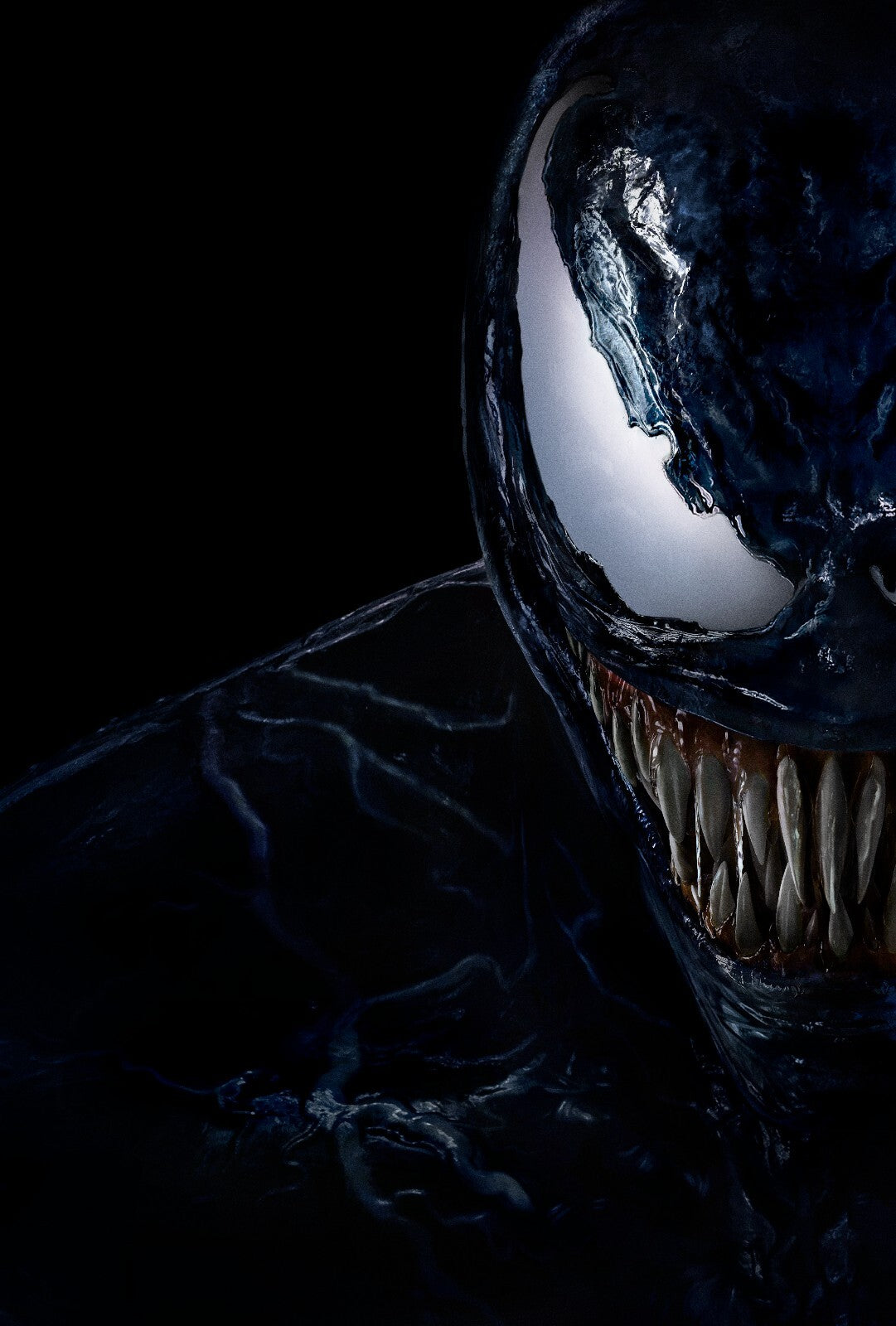 Venom Canvas Framed Poster | Wall Art - Home Decor