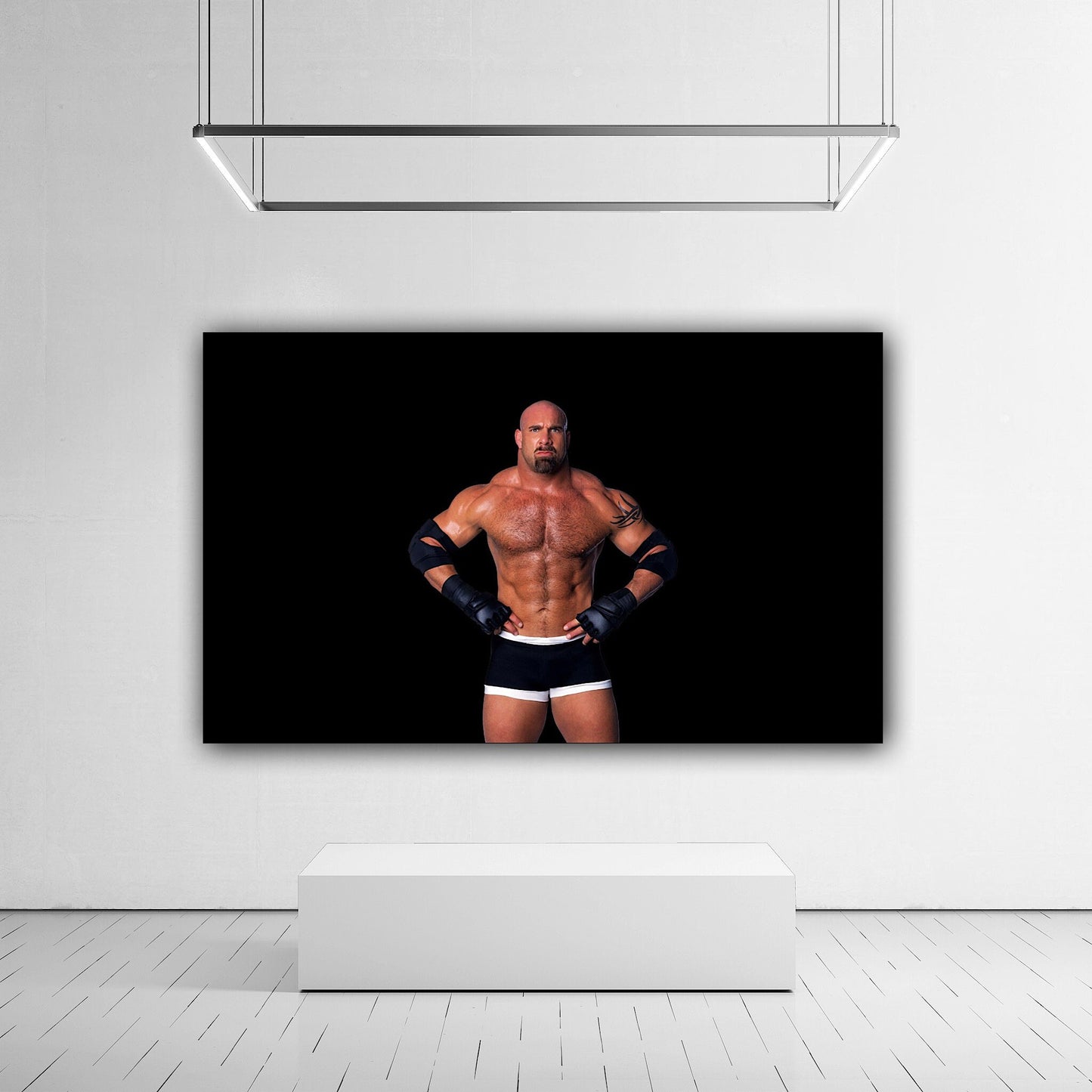 Goldberg: WWE Legend - Celebrate the Hall of Famer on Canvas