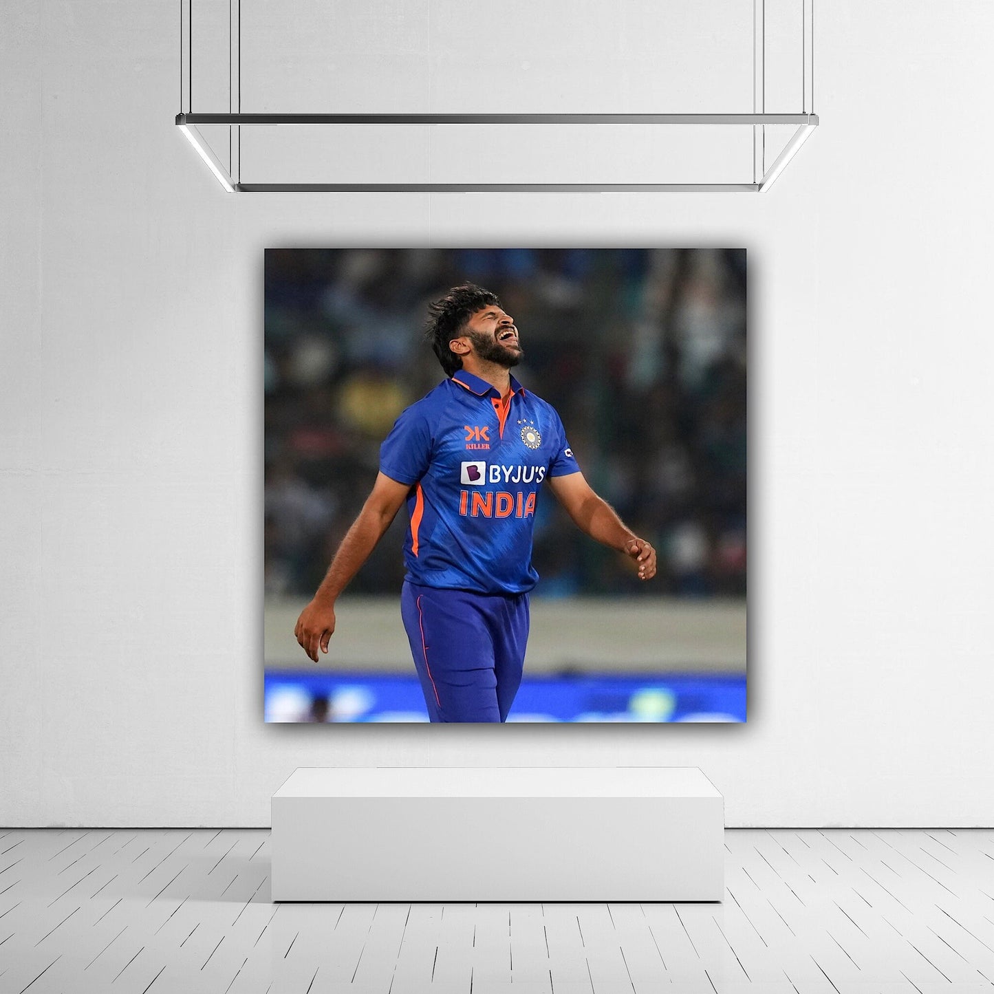 Shardul Thakur Canvas: Embodying Cricket's Spirited Artistry