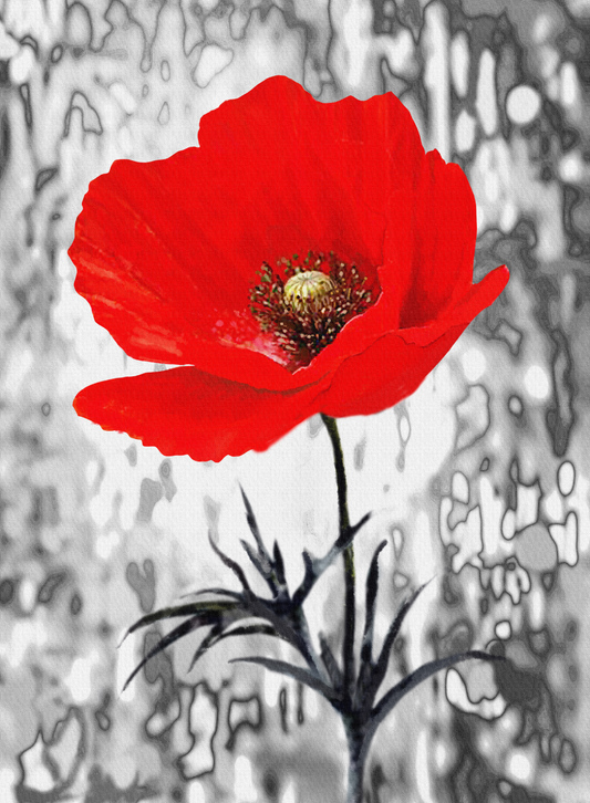 White and Red Canvas Framed Poster | Wall Art - Home Decor