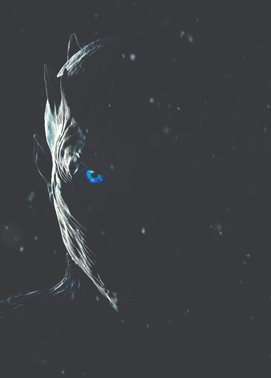 Game of Thrones Canvas | Wall Art , Canvas , Home Decor , Customized Gift