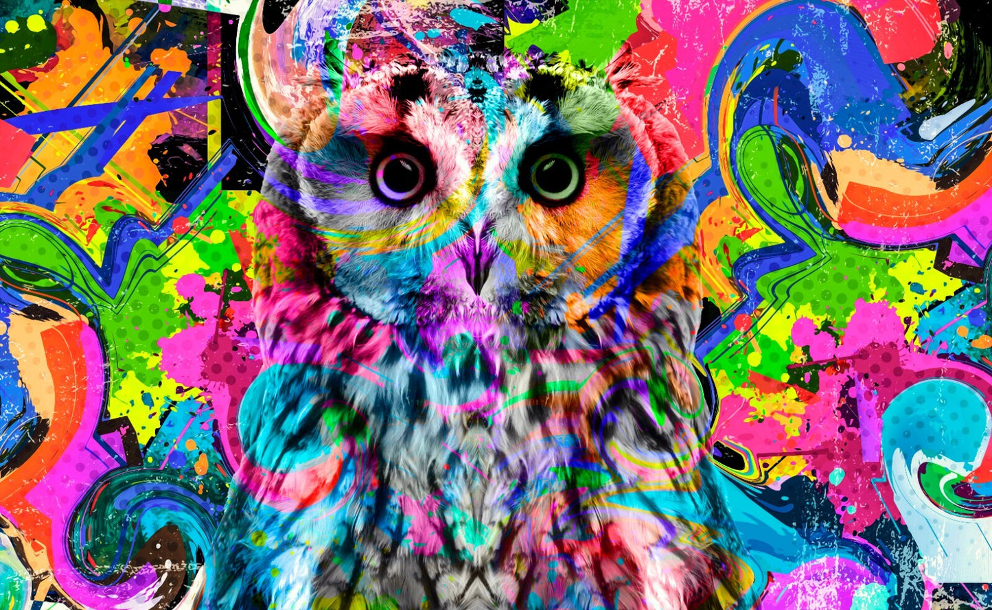Street Art Canvas Framed Poster | Wall Art - Home Decor