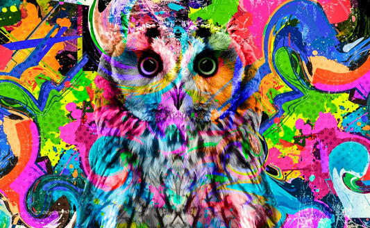 Street Art Canvas Framed Poster | Wall Art - Home Decor