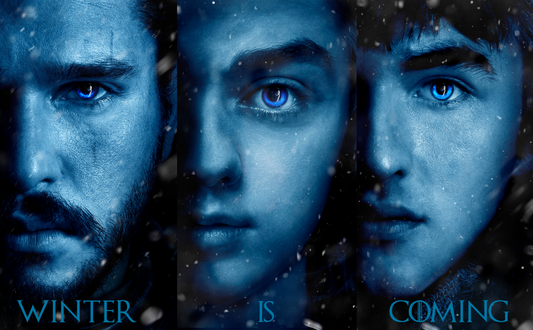 Game of Thrones Canvas | Wall Art , Canvas , Home Decor , Customized Gift