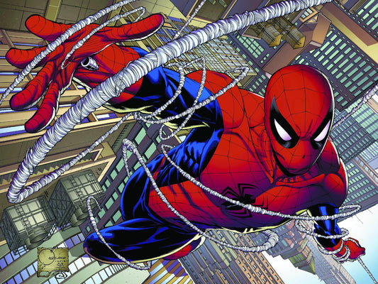 Spider Man Canvas Framed Poster | Wall Art - Home Decor