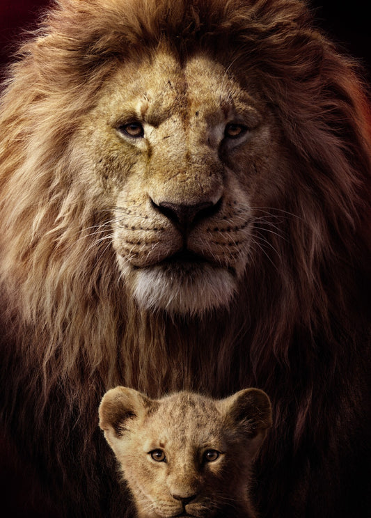 Lion Canvas Framed Poster | Wall Art - Home Decor