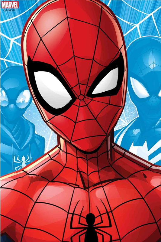 Spider Man Canvas Framed Poster | Wall Art - Home Decor