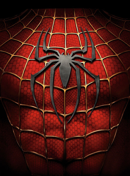 Spider Man Canvas Framed Poster | Wall Art - Home Decor