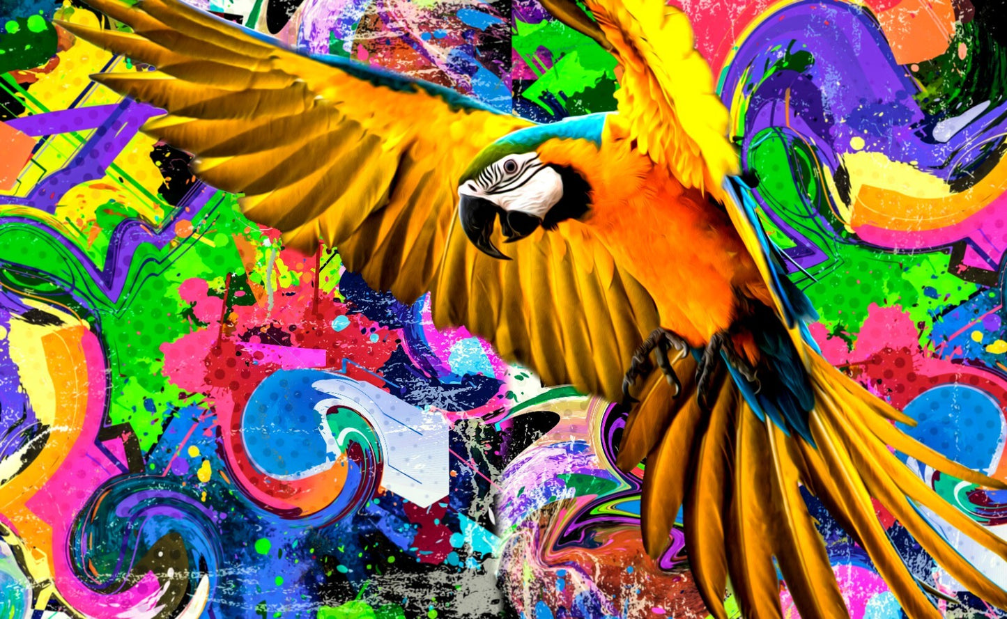 Street Art Canvas Framed Poster | Wall Art - Home Decor