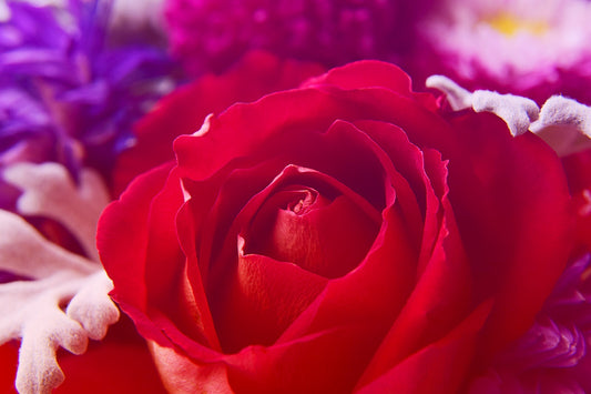 Flowers Canvas | Wall Art , Canvas , Home Decor , Customized Gift