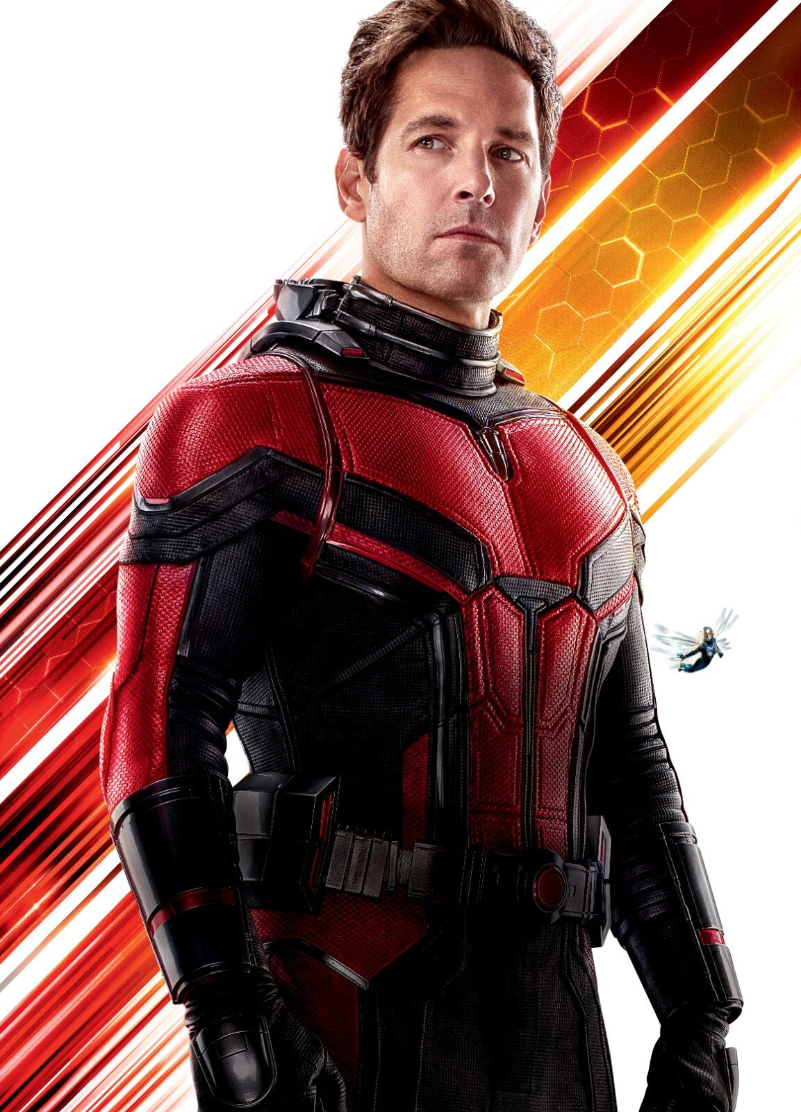 Ant Man Canvas Framed Poster | Wall Art - Home Decor