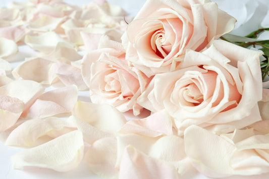 Flowers Canvas | Wall Art , Canvas , Home Decor , Customized Gift