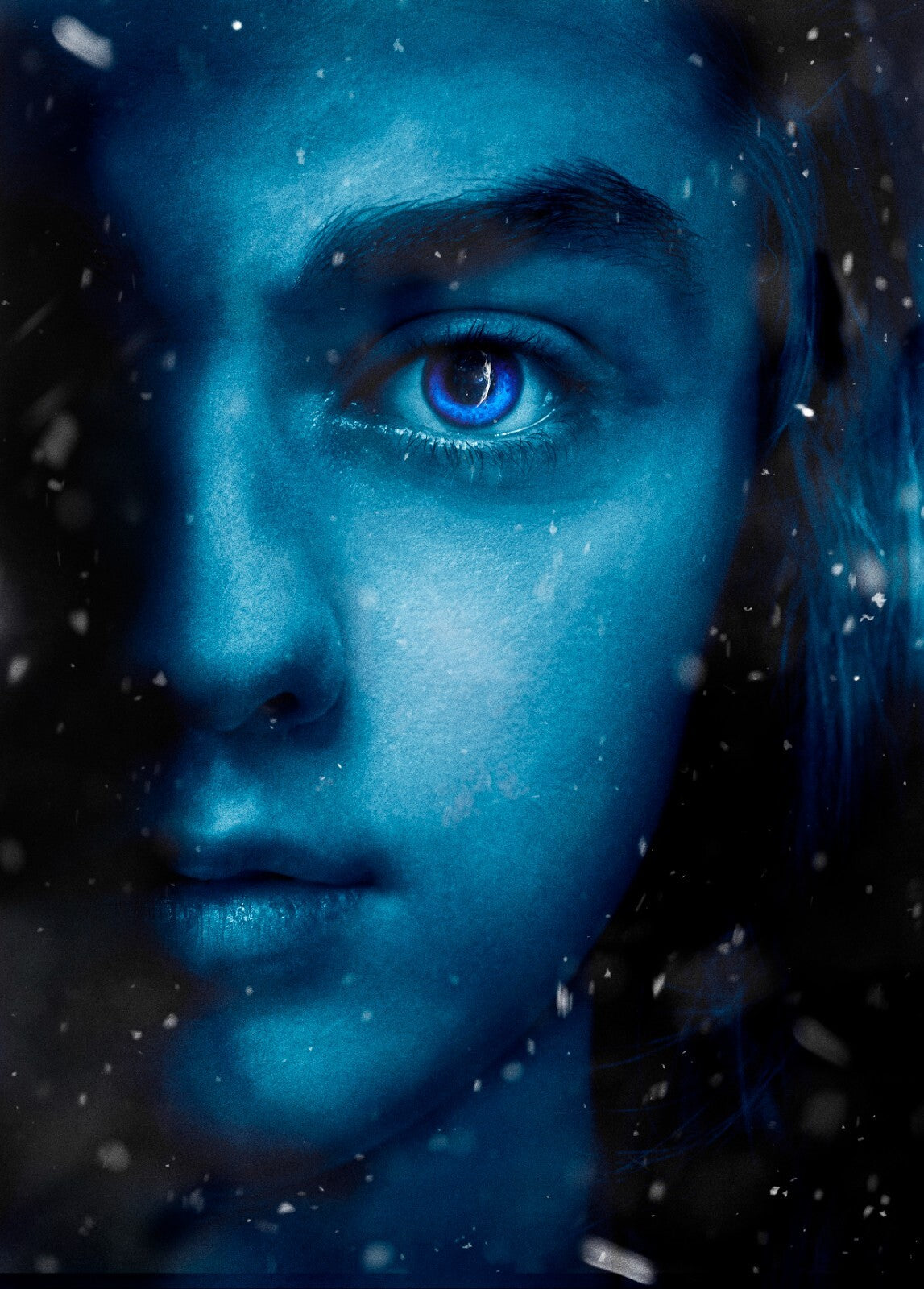 Game of Thrones Canvas | Wall Art , Canvas , Home Decor , Customized Gift