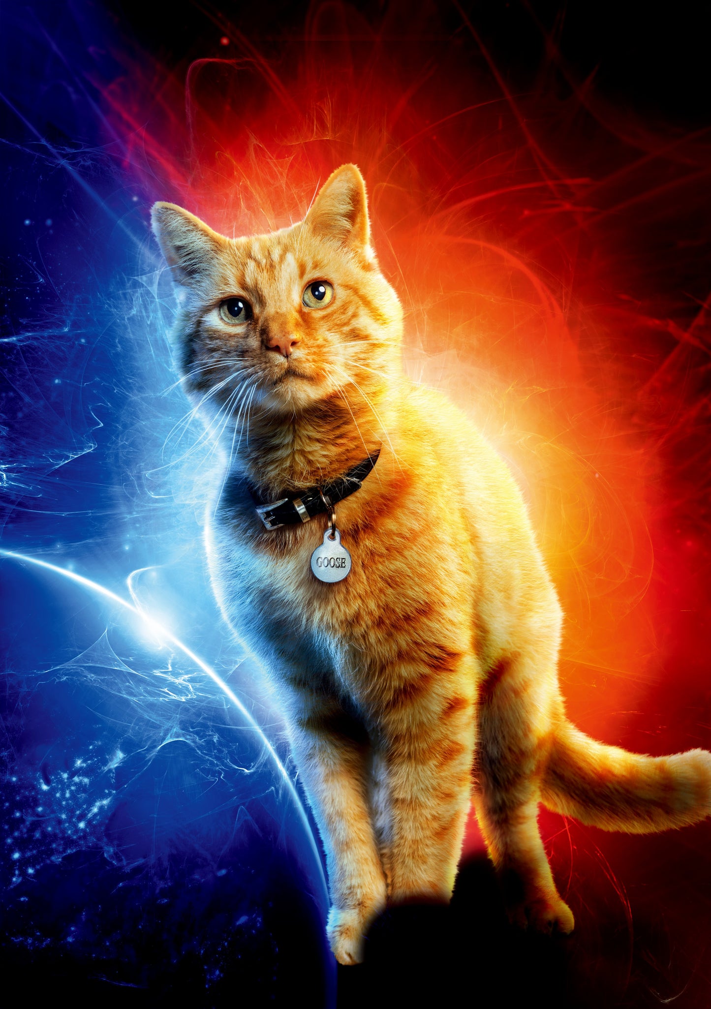 Captain Marvel_ Cat Canvas Framed Poster | Wall Art - Home Decor