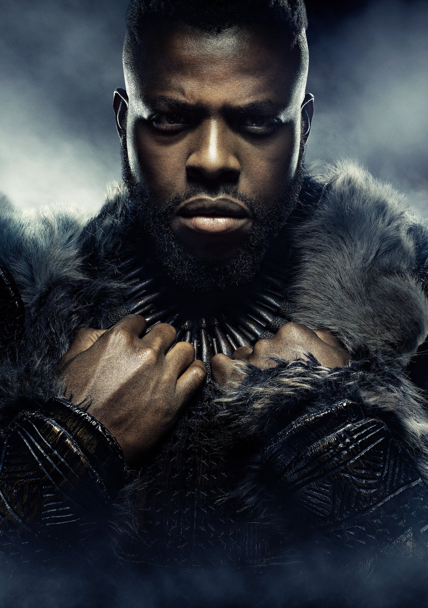 Man-Ape _ Black Panther Canvas  Framed Photo | Wall Art- Home Decor